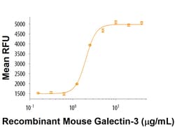 R&D Systems&trade;&nbsp;Recombinant Mouse Galectin-3 (Hek293-expressed) Protein