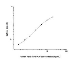 Novus Biologicals&trade;&nbsp;Human HSP20/HSPB6 ELISA Kit (Colorimetric)