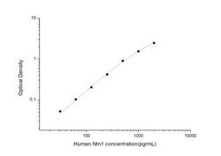 Novus Biologicals&trade;&nbsp;Human Netrin-1 ELISA Kit (Colorimetric)