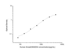 Novus Biologicals&trade;&nbsp;Human Smad2 ELISA Kit (Colorimetric)