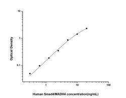 Novus Biologicals&trade;&nbsp;Human Smad4 ELISA Kit (Colorimetric)