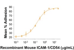 R&D Systems&trade;&nbsp;Recombinant Mouse ICAM-1/CD54 His-tag Protein