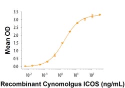 R&D Systems&trade;&nbsp;Recombinant Cynomolgus ICOS Fc Chimera Protein