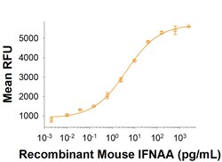 R D Systems Recombinant Mouse IFNAA Protein 50 &mu;g | Buy Online | R&amp;D Systems&trade; | Fisher Scientific