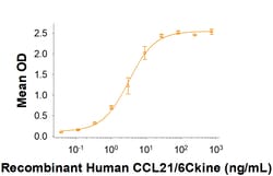 R D Systems Recombinant Human IGFBP-rp1/IGFBP-7 Protein 50 &mu;g | Buy Online | R&amp;D Systems&trade; | Fisher Scientific