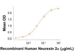 R&D Systems&trade;&nbsp;Recombinant Human IGSF21 His-tag Protein