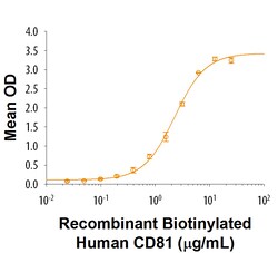 R D Systems Recombinant Human IGSF8/CD316 Fc Chimera Protein 50 &mu;g | Buy Online | R&amp;D Systems&trade; | Fisher Scientific
