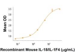 R D Systems Recombinant Mouse IL-18 R beta/IL-1 R7 Fc Chimera 100 &mu;g | Buy Online | R&amp;D Systems&trade; | Fisher Scientific