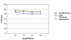 R D Systems Human IL-2 Quantikine QuicKit ELISA 1 Kit | Buy Online | R&amp;D Systems&trade; | Fisher Scientific