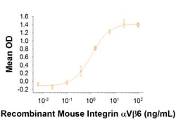 R&D Systems&trade;&nbsp;Recombinant Rat Integrin alpha V beta 6 Protein