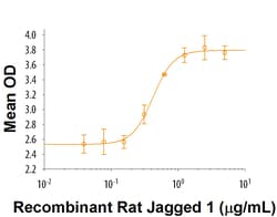 R&D Systems&trade;&nbsp;Recombinant Rat Jagged 1 His Tagged Protein