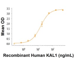 R&D Systems&trade;&nbsp;Recombinant Human KAL1 Protein