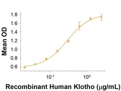 R&D Systems&trade;&nbsp;Recombinant Human Klotho His-tag Protein