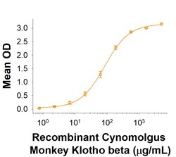R D Systems Recombinant Cynomolgus Monkey Klotho beta His Protein 25 &mu;g | Buy Online | R&amp;D Systems&trade; | Fisher Scientific