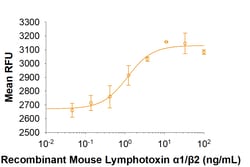 R D Systems Recombinant Mouse Lymphotoxin alpha1/beta2 25 &mu;g | Buy Online | R&amp;D Systems&trade; | Fisher Scientific
