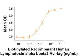 R D Systems Recombinant Human Lymphotoxin alpha1/beta2 Avi Protein 25 &mu;g | Buy Online | R&amp;D Systems&trade; | Fisher Scientific