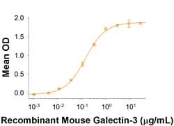 R&D Systems&trade;&nbsp;Recombinant Mouse MCAM/CD146 Fc Chimera Protein