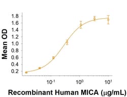 R&D Systems&trade;&nbsp;Recombinant Human MICA His-tag Protein