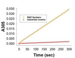 R&D Systems&trade;&nbsp;Recombinant Human MTAP His-tag Protein