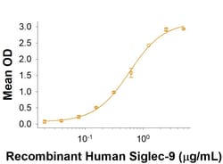R D Systems Recombinant Human MUC-1 Fc Chimera Protein 50 &mu;g | Buy Online | R&amp;D Systems&trade; | Fisher Scientific