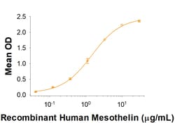 R&D Systems&trade;&nbsp;Recombinant Human Mesothelin (aa 35-289) His-tag Protein