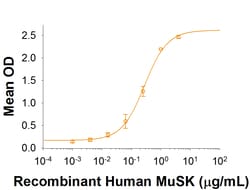 R&D Systems™ Recombinant Human MuSK Fc Chimera Protein