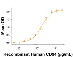 R D Systems Recombinant Human NKG2C/CD159c Fc Chimera Protein 50 &mu;g | Buy Online | R&amp;D Systems&trade; | Fisher Scientific