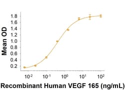 R D Systems Recombinant Human Neuropilin-1 Fc Chimera Protein 50 &mu;g | Buy Online | R&amp;D Systems&trade; | Fisher Scientific