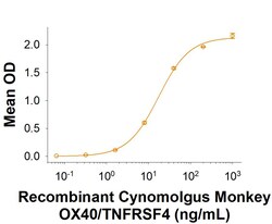 R D Systems Recombinant Cynomolgus OX40/TNFRSF4 Fc Chimera Protein 50 &mu;g | Buy Online | R&amp;D Systems&trade; | Fisher Scientific