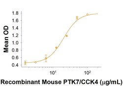 R&D Systems&trade;&nbsp;Recombinant Mouse PTK7/CCK4 Fc Chimera Protein