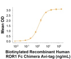 R&D Systems&trade;&nbsp;Recombinant Human ROR1 Fc Chimera Avi-tag Protein