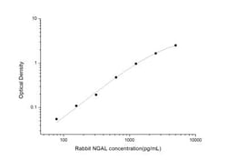 Novus Biologicals&trade;&nbsp;Rabbit Lipocalin-2/NGAL ELISA Kit (Colorimetric)