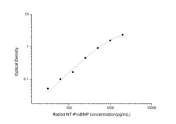 Novus Biologicals&trade;&nbsp;Rabbit NT-proBNP ELISA Kit (Colorimetric)