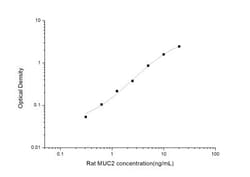 Novus Biologicals&trade;&nbsp;Rat MUC2 ELISA Kit (Colorimetric)