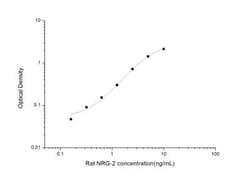 Novus Biologicals&trade;&nbsp;Rat Neuregulin-2 ELISA Kit (Colorimetric)