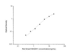 Novus Biologicals&trade;&nbsp;Rat Smad1 ELISA Kit (Colorimetric)