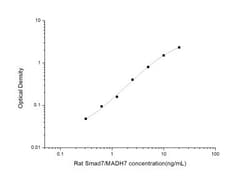Novus Biologicals™ Rat Smad7 ELISA Kit (Colorimetric)