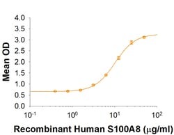 R D Systems Recombinant Human S100A8 Protein 50 &mu;g | Buy Online | R&amp;D Systems&trade; | Fisher Scientific