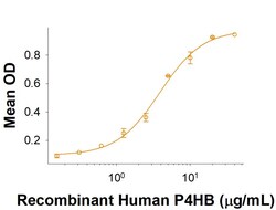 R D Systems Recombinant Human SF20/MYDGF Protein 50 &mu;g | Buy Online | R&amp;D Systems&trade; | Fisher Scientific