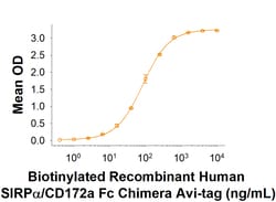 R&D Systems&trade;&nbsp;Recombinant Human SIRP alpha/CD172a Fc Avi-tag Protein