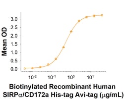 R&D Systems™ Recombinant Human SIRP alpha/CD172a His Avi-tag Protein
