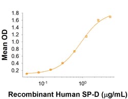 R&D Systems&trade;&nbsp;Recombinant Cynomolgus SIRP beta 1/CD172b His Protein