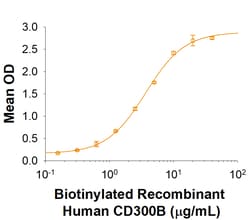 R&D Systems&trade;&nbsp;Recombinant Human SIRP beta 2 Fc Chimera Protein