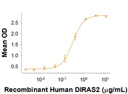 R D Systems Recombinant Human SIRP delta Fc Chimera Protein 50 &mu;g | Buy Online | R&amp;D Systems&trade; | Fisher Scientific
