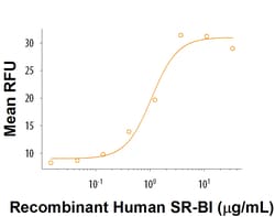 R D Systems Recombinant Human SR-BI Fc Chimera Protein 50 &mu;g | Buy Online | R&amp;D Systems&trade; | Fisher Scientific