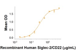 R&D Systems&trade;&nbsp;Recombinant Human Siglec-2/CD22 His-tag Protein