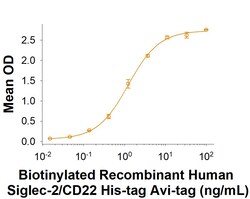 R&D Systems&trade;&nbsp;Recombinant Human Siglec-2/CD22 His-tag Avi-tag Protein