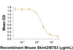 R&D Systems&trade;&nbsp;Recombinant Mouse Skint2/B7S3 Fc Chimera Protein