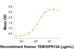 R&D Systems&trade;&nbsp;Recombinant Human TEM5/GPR124 His-tag Protein