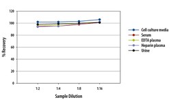 R D Systems Human TNF RI/TNFRSF1A Quantikine QuicKit ELISA 1 Kit | Buy Online | R&amp;D Systems&trade; | Fisher Scientific